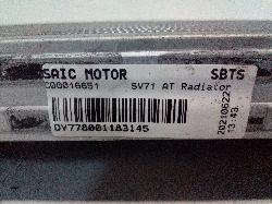 View Auto part Radiator Ldv G10 2021