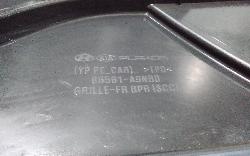 View Auto part Grille Kia Carnival/grand Carnival 2018