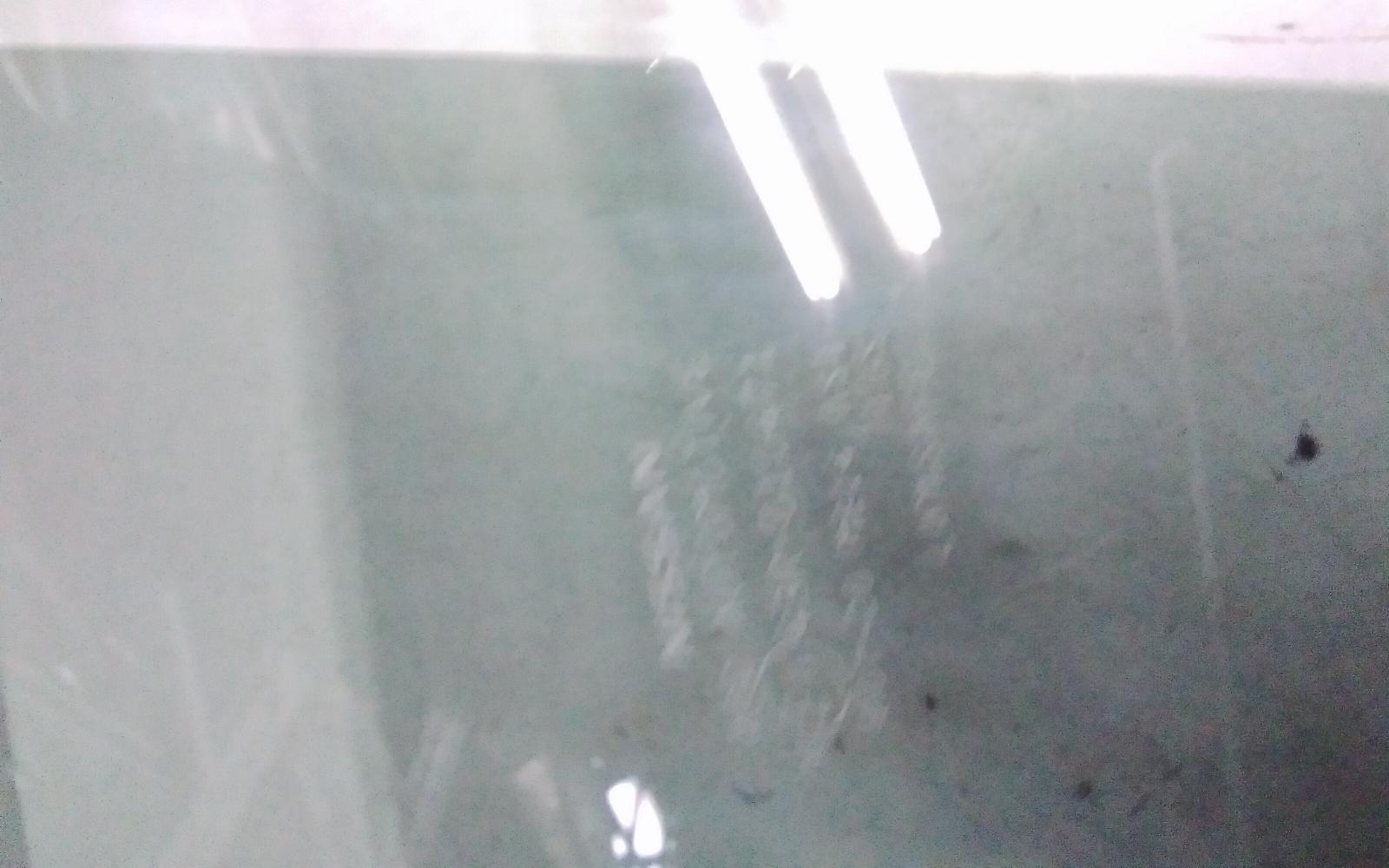 View Auto part Left Front Door Window Nissan Xtrail 2024