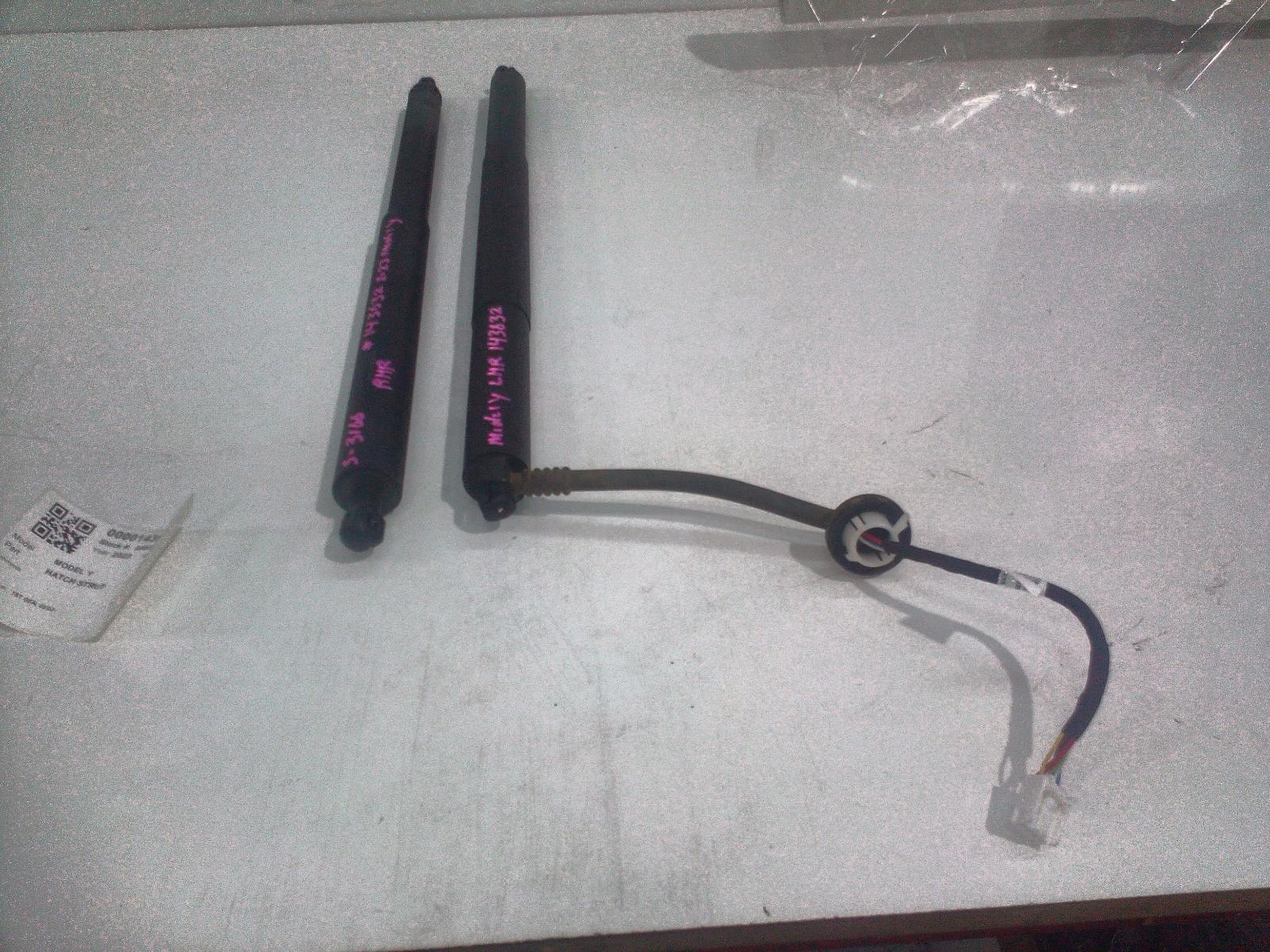 View Auto part Hatch Strut Tesla Model Y 2023