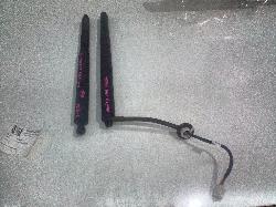 View Auto part Hatch Strut Tesla Model Y 2023