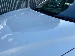 View Auto part Left Front Door Nissan Pathfinder 2013