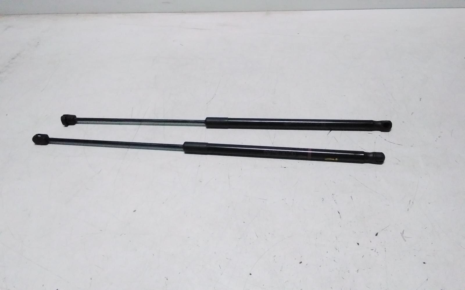 View Auto part Bonnet Hinge/Strut Toyota Camry 2020