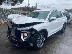 View Auto part Catalytic Converter Hyundai Palisade 2022