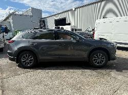 View Auto part Body/Door Mould Mazda Cx9 2020