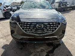 View Auto part Body/Door Mould Mazda Cx9 2020