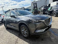 View Auto part Body/Door Mould Mazda Cx9 2020