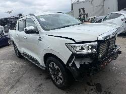 View Auto part Cooler Great Wall Cannon Ute 2022