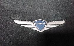 View Auto part Floor Mats Hyundai Genesis 2016