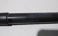 View Auto part Bonnet Hinge/Strut Hyundai Genesis 2016