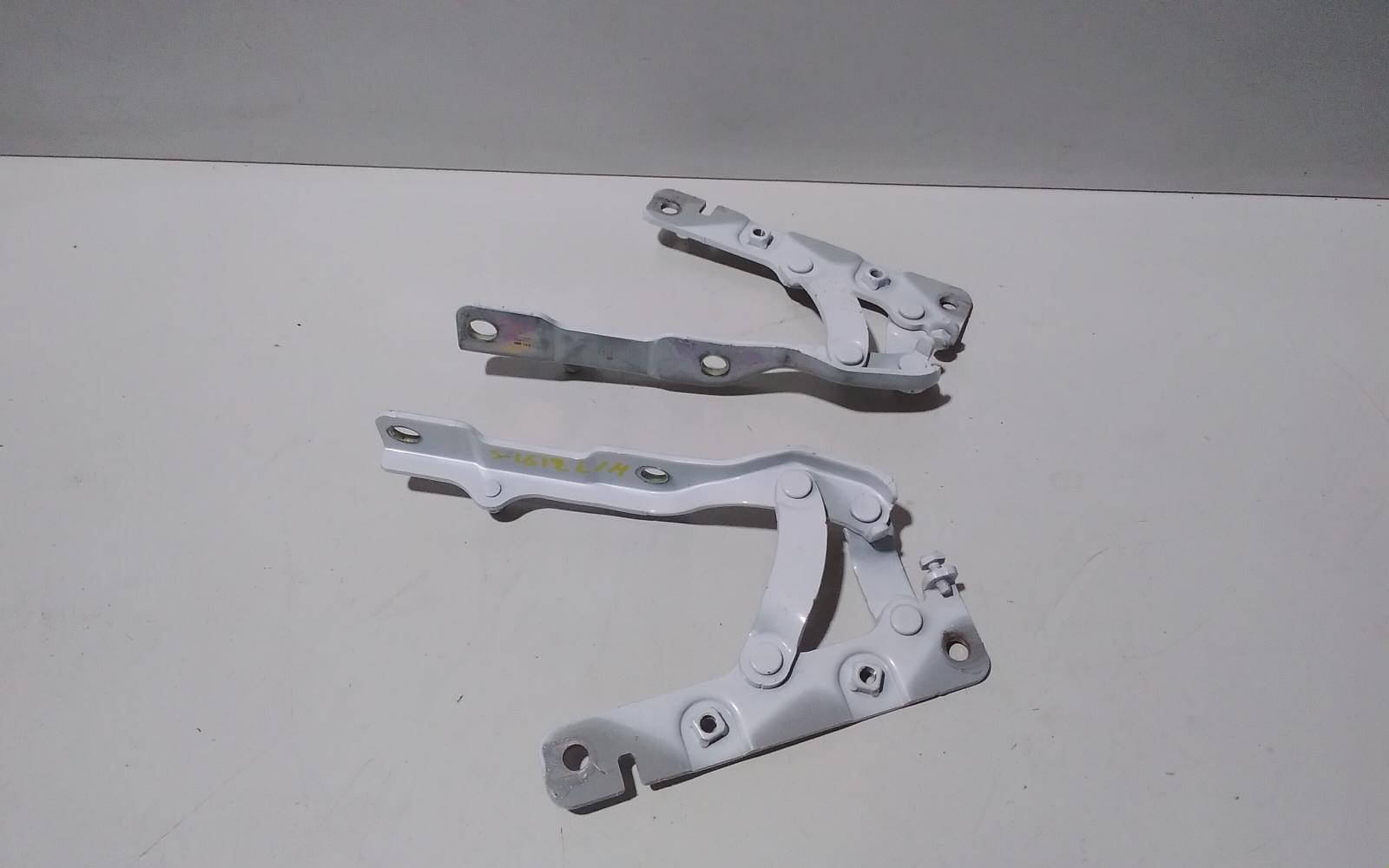 View Auto part Bonnet Hinge/Strut Hyundai Genesis 2016